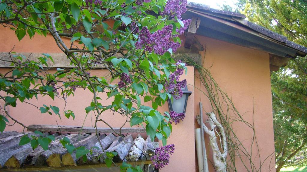 La Maison De Melen Moustiers-Sainte-Marie Εξωτερικό φωτογραφία